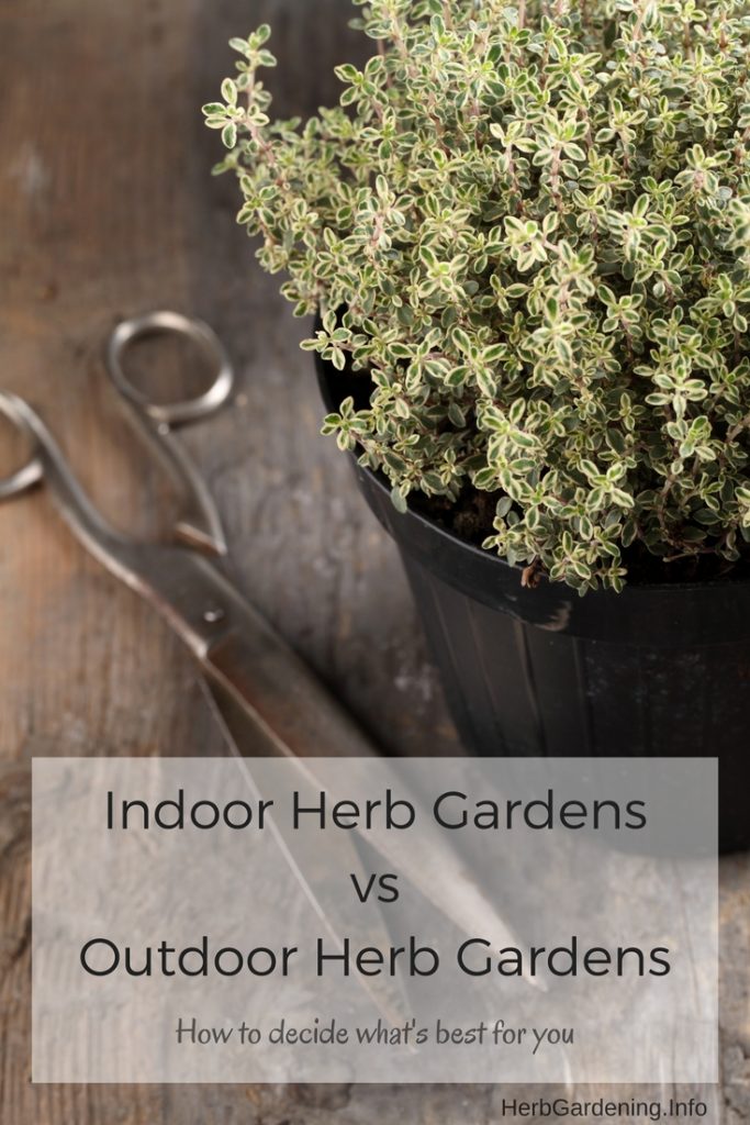 Indoor Herb Gardens vs Outdoor Herb Gardeners - How to Decide What's Right for You