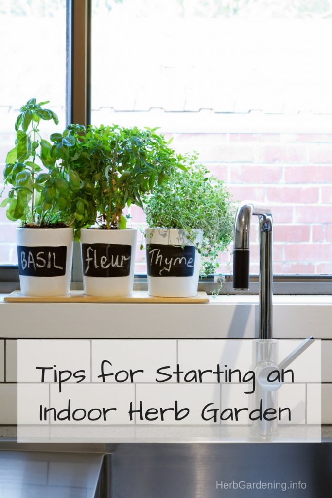 Tips for Starting an Indoor Herb Garden