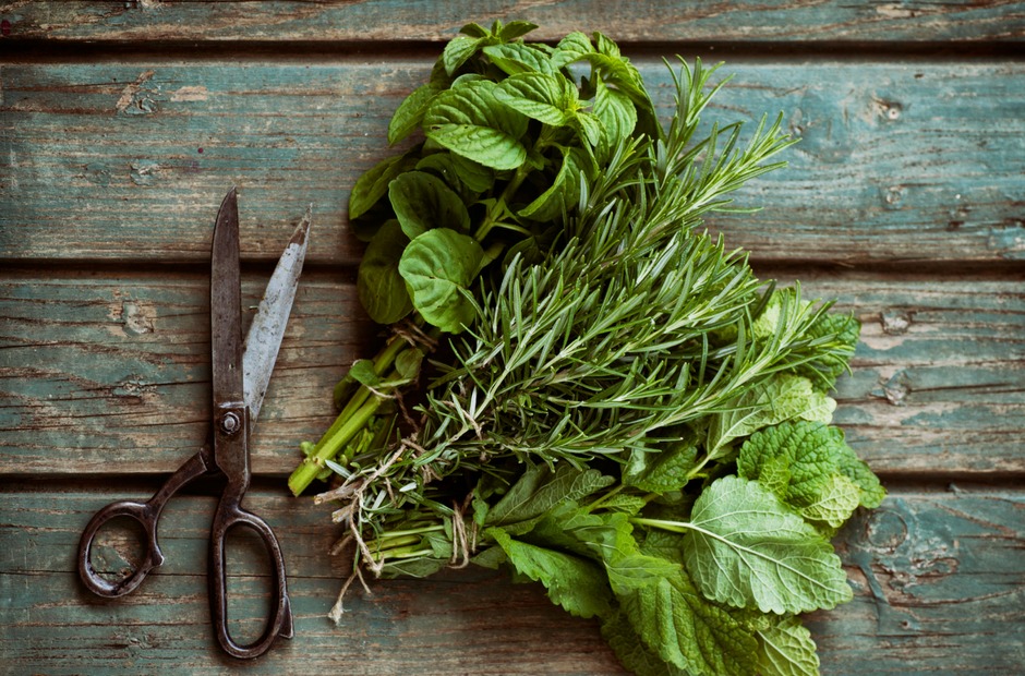 It’s important to have a plan on how to store the fresh herbs from your garden until you are ready to use them, so they don’t go to waste.