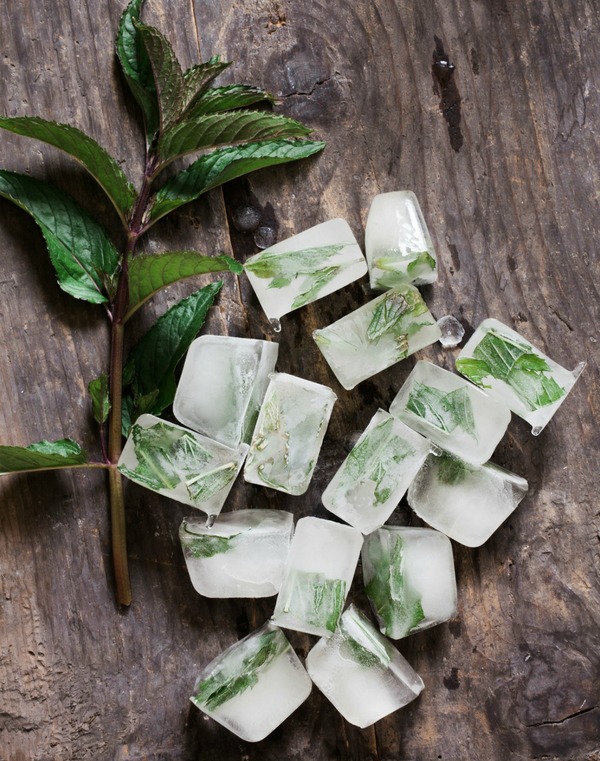 Herbs frozen in ice cubes are a wonderful way to preserve fresh herbs from your garden and can be added to drinks or while cooking soups, stews, stir fries and more.