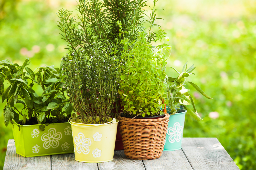 8 reasons to grow your own herbs.
