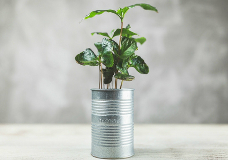 DIY Containers for Herb Gardens. Tin cans are another great option for those wanting to reduce waste, and will save you money without having to purchase plant pots.