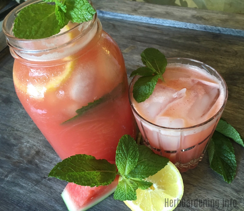 This watermelon mint lemonade is a refreshing drink on a hot summer day!