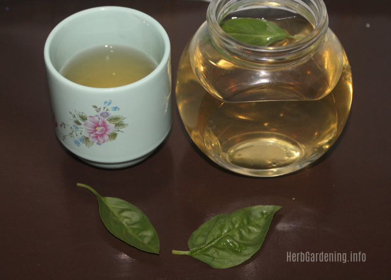 Simple Recipe for Stress Busting Basil Tea