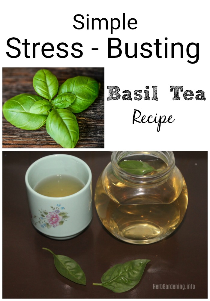 Simple Stress Busting Basil Tea Recipe