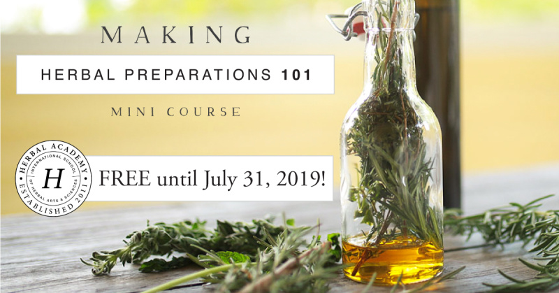 Learn how to make your own herbal preparations with this free online mini course