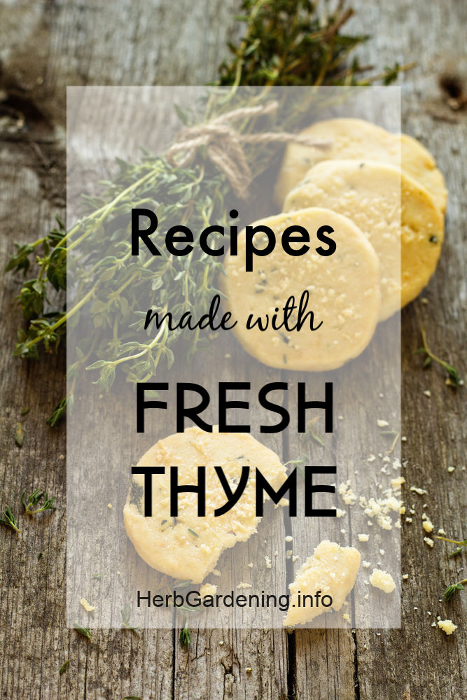 Recipe Roundup: Recipes Using Fresh Thyme
