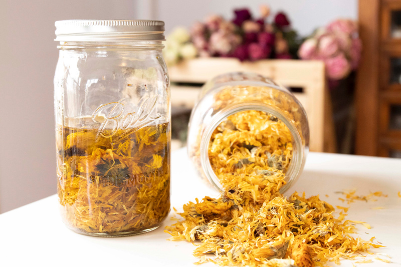 Learn how to make herb infused oils and salves in this free online Herbal Preparations 101 mini course